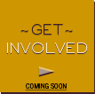 Get Invloved Get Involved